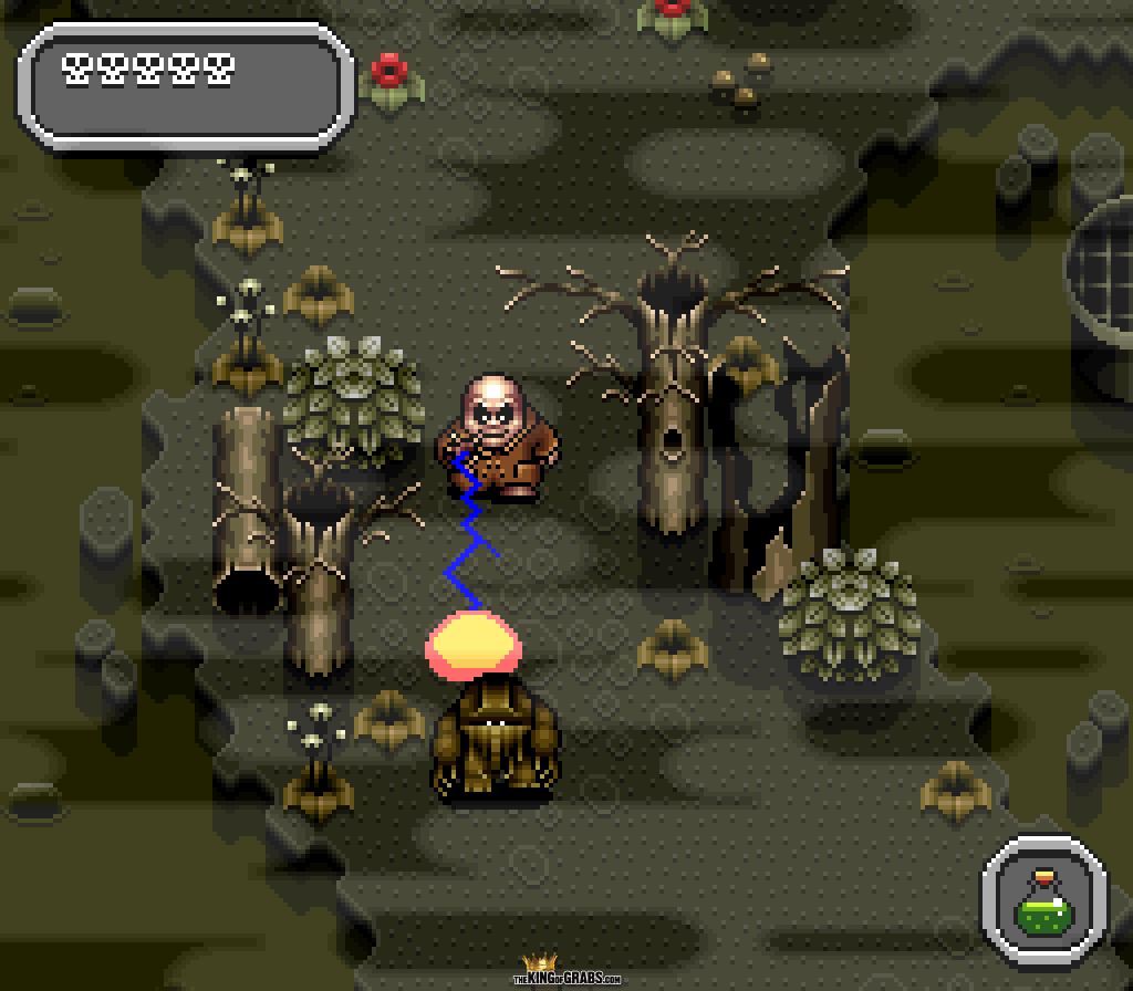 The forest level