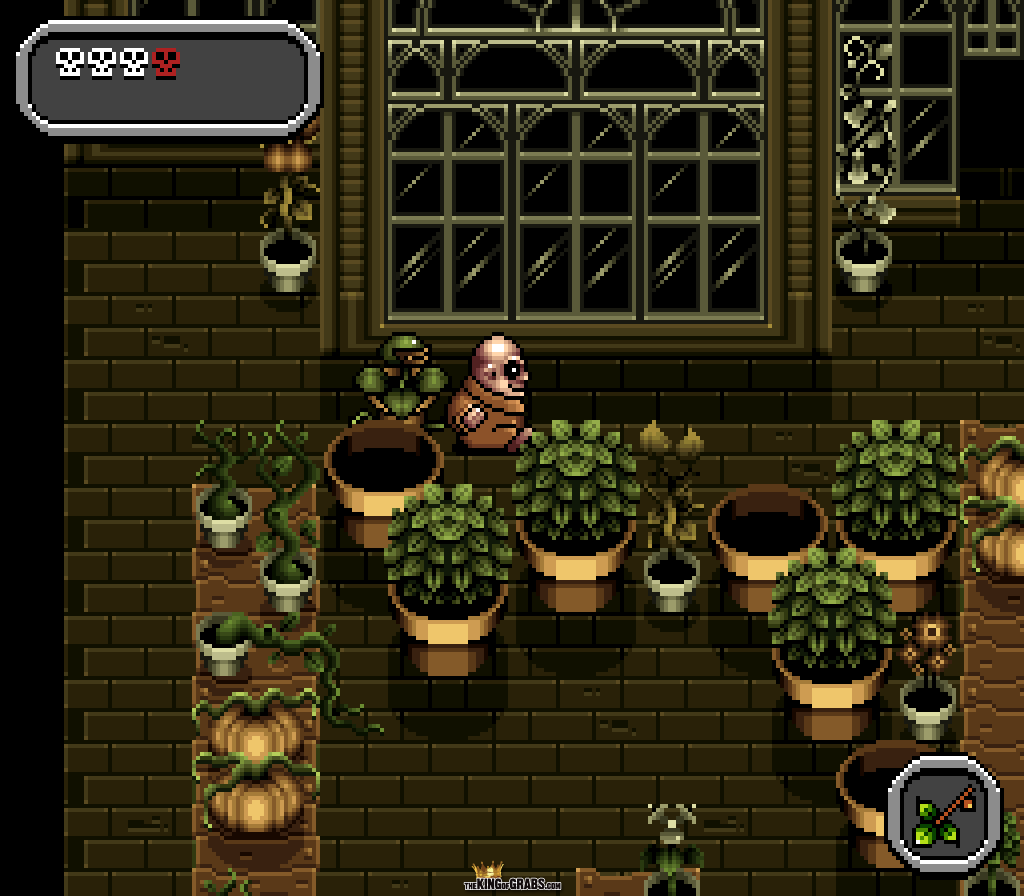 The greenhouse level