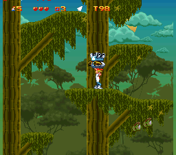 A forest level in Adventures of Mighty Max